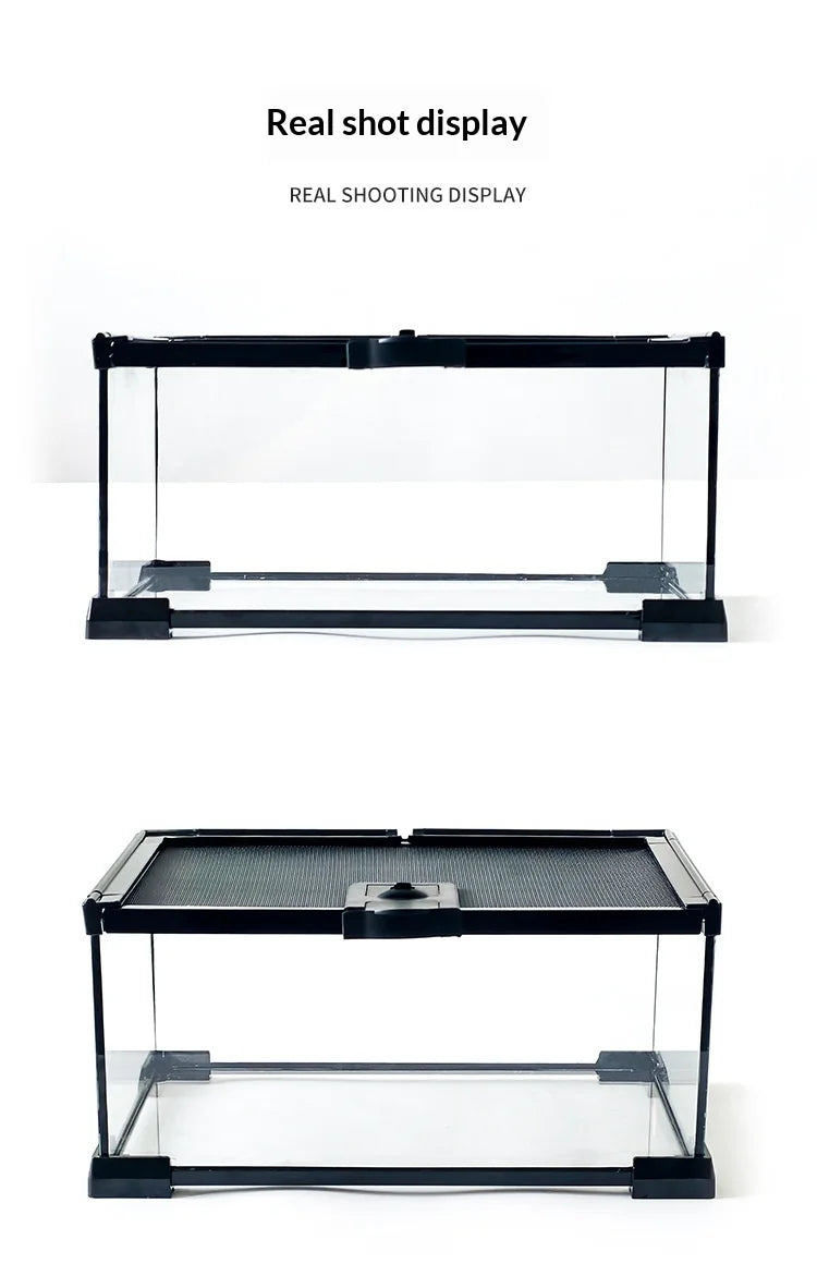 Glass Reptile Display Tank
