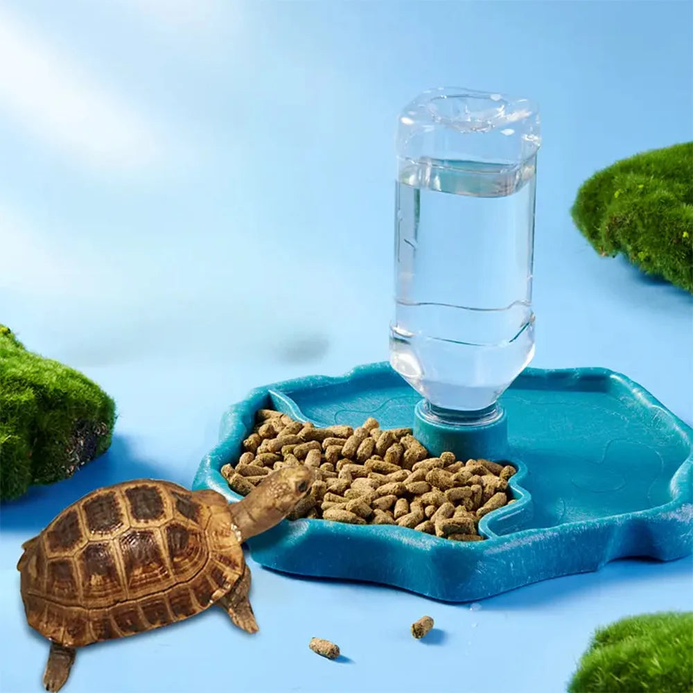 Easy-Clean Reptile Food Dish