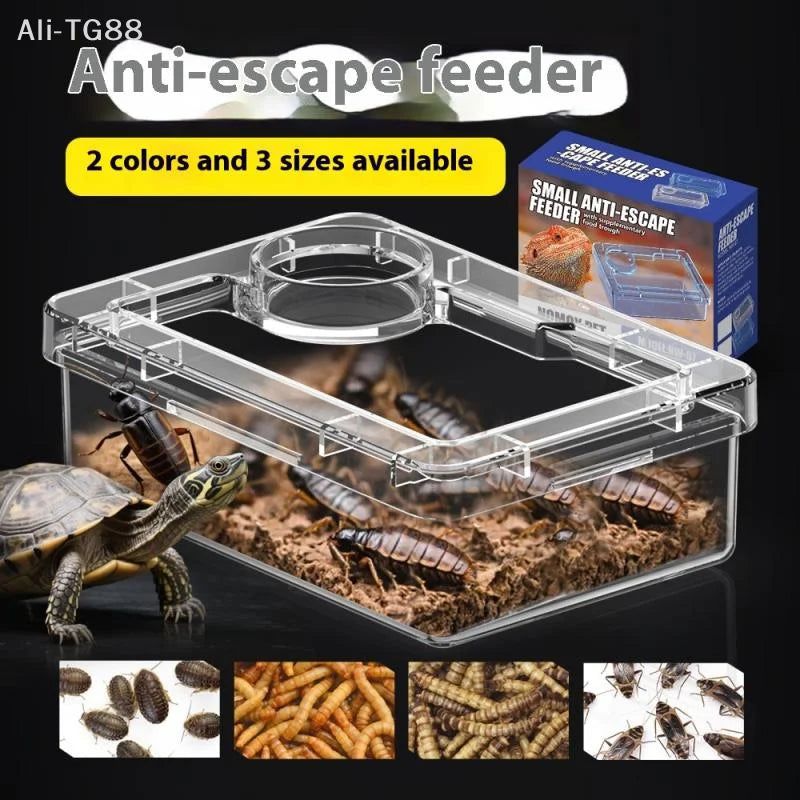 Anti-Escape Reptile Feeder Bowl