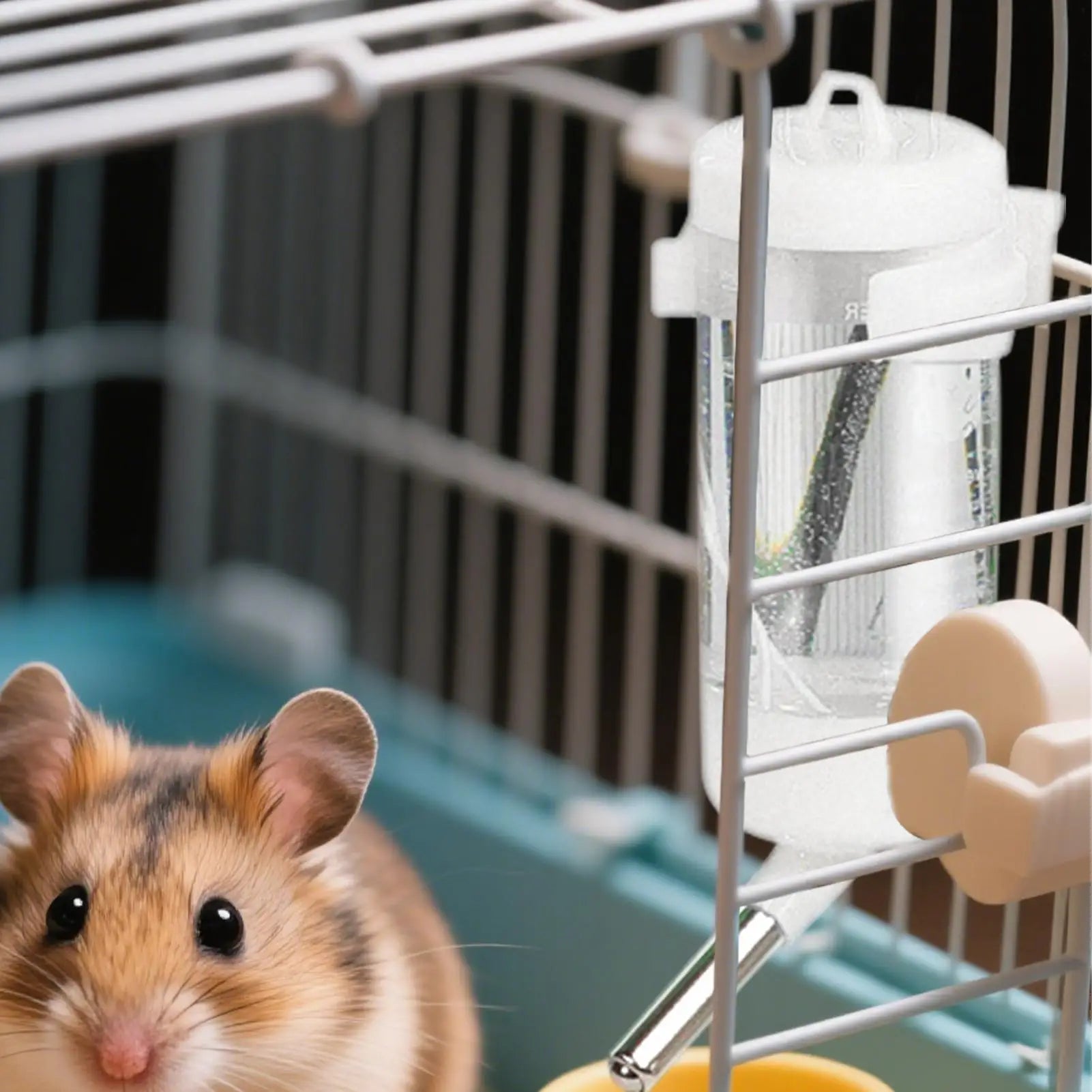 No-Drip Small Pet Water Bottle