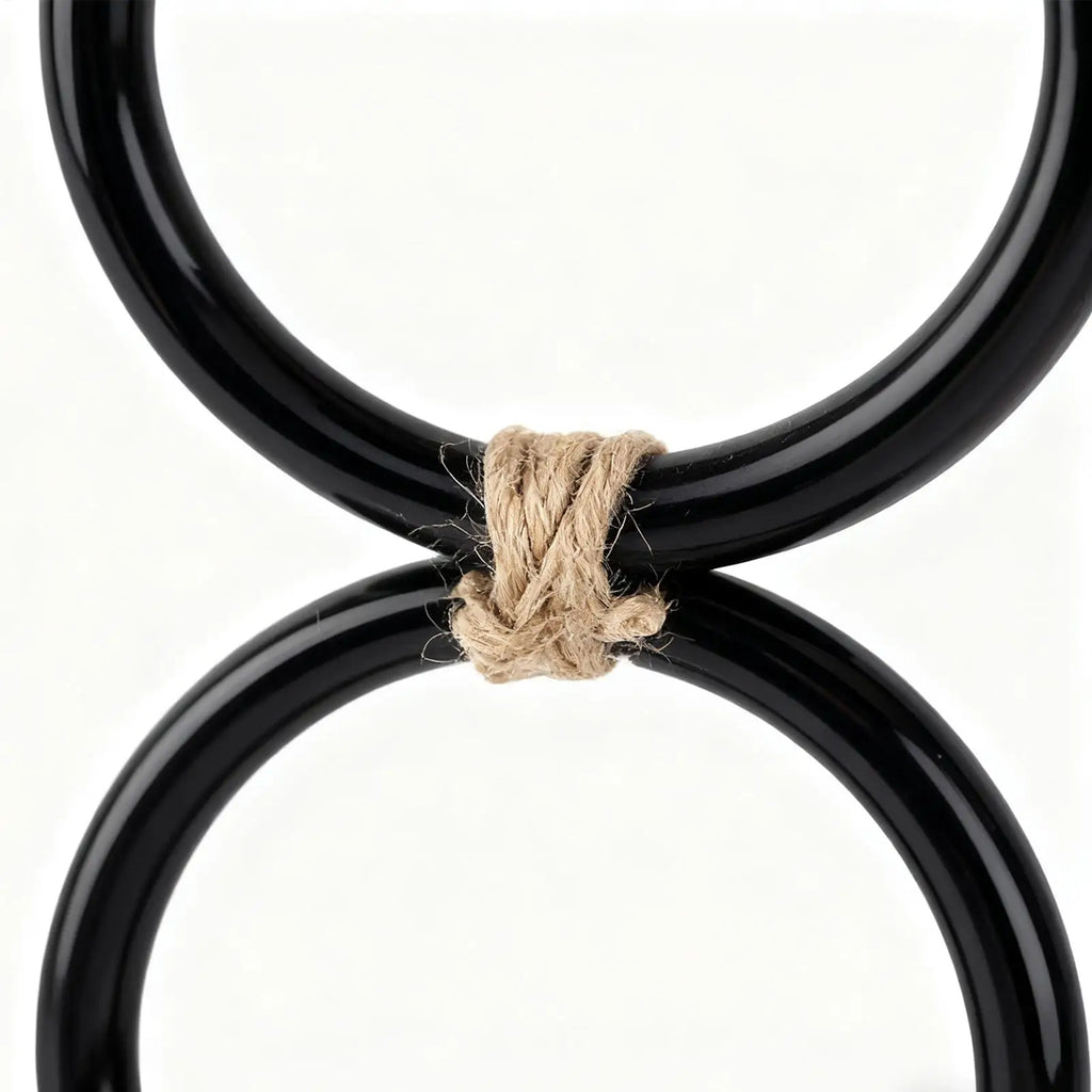 Snake Climbing Toy & Rings