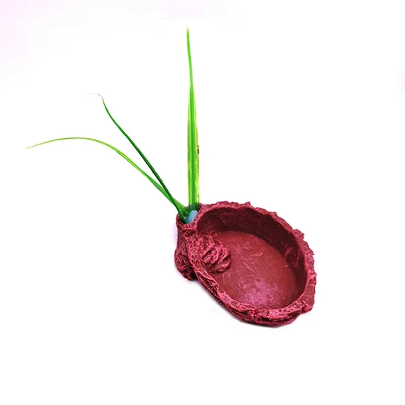 Resin Reptile Feeder Bowl
