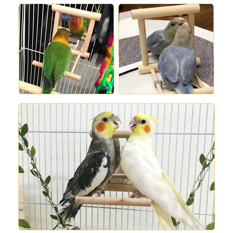 Cloud Ladder Bird Climbing Stand