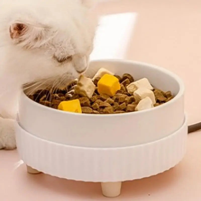 Heated USB Pet Water Bowl