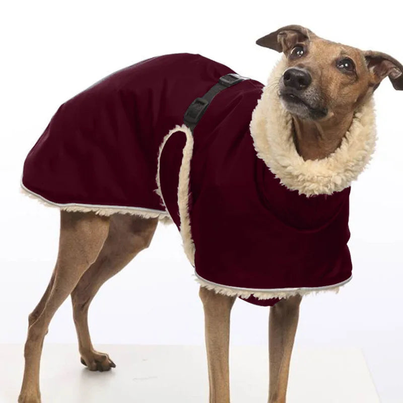 Fleece-Lined Waterproof Dog Jacket