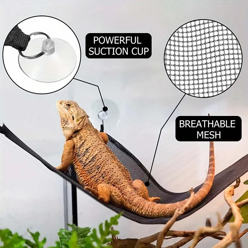 Reptile Hammock & Lounger