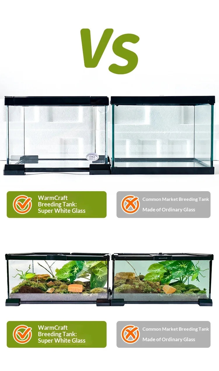 Glass Reptile Display Tank