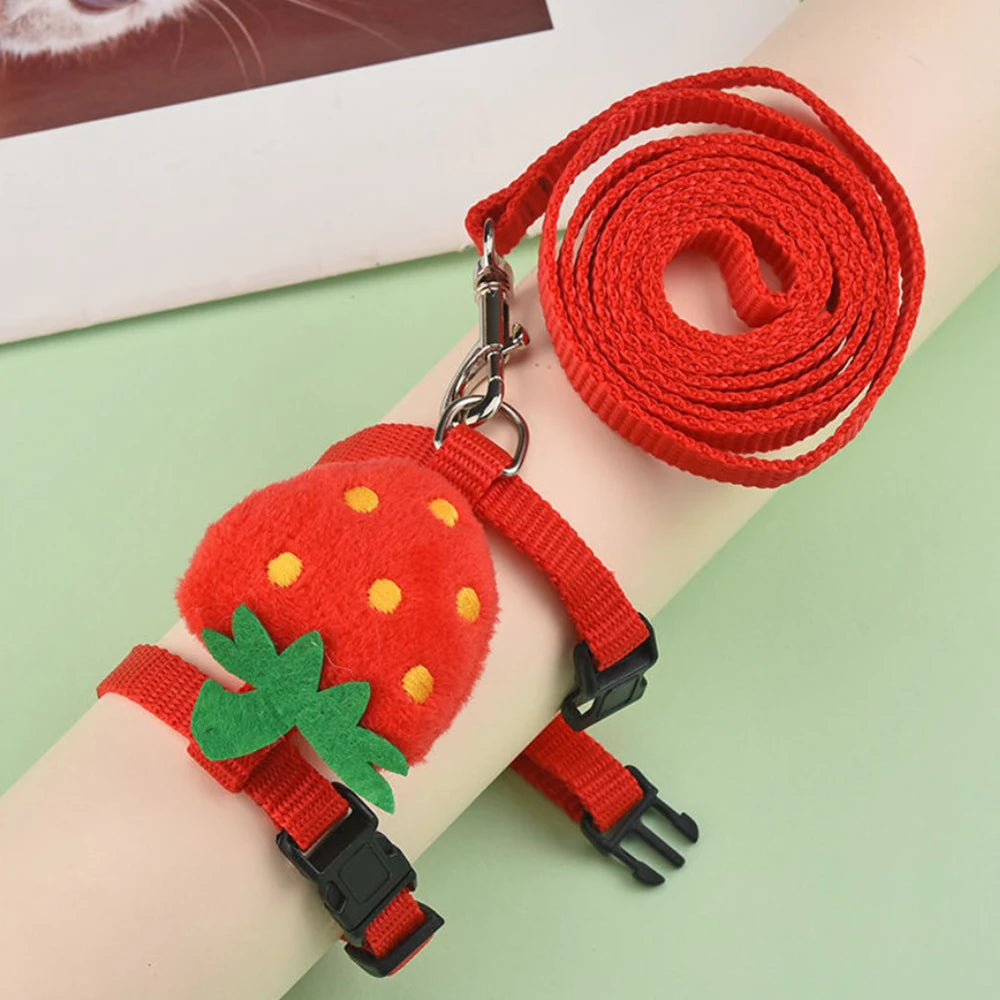 Small Animal Harness & Leash