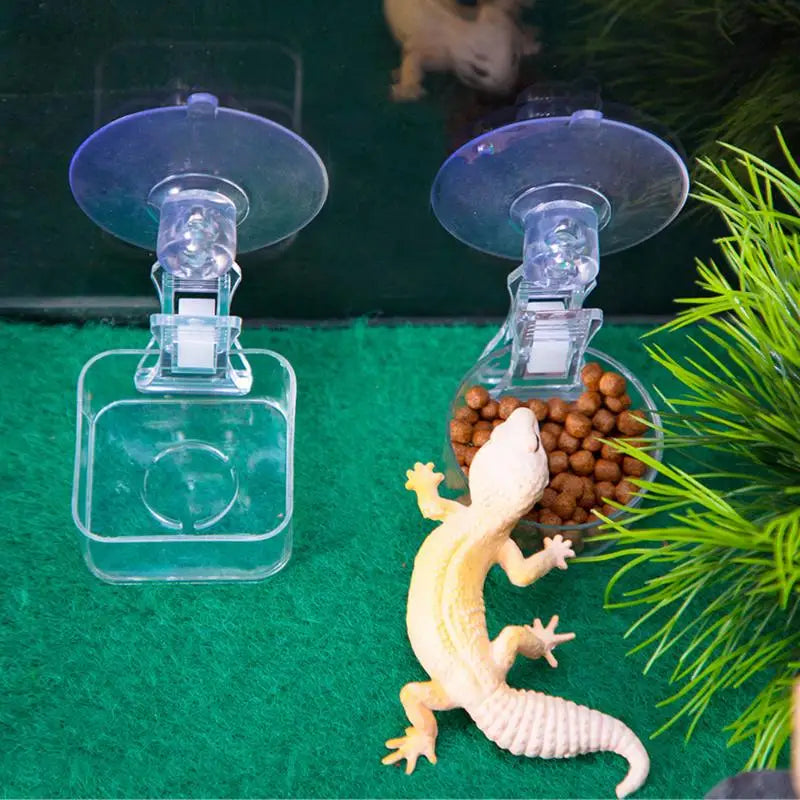 Suction Cup Reptile Food Tray