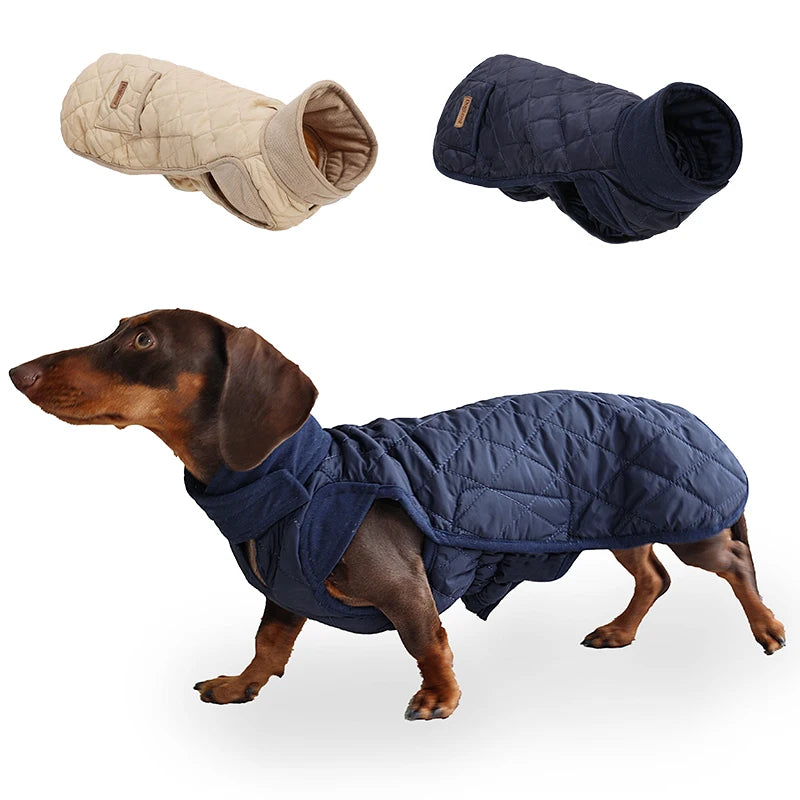 Quilted Dachshund Dog Coat