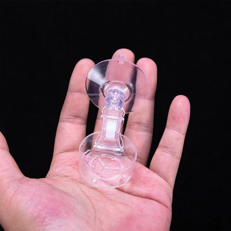 Suction Cup Reptile Food Tray