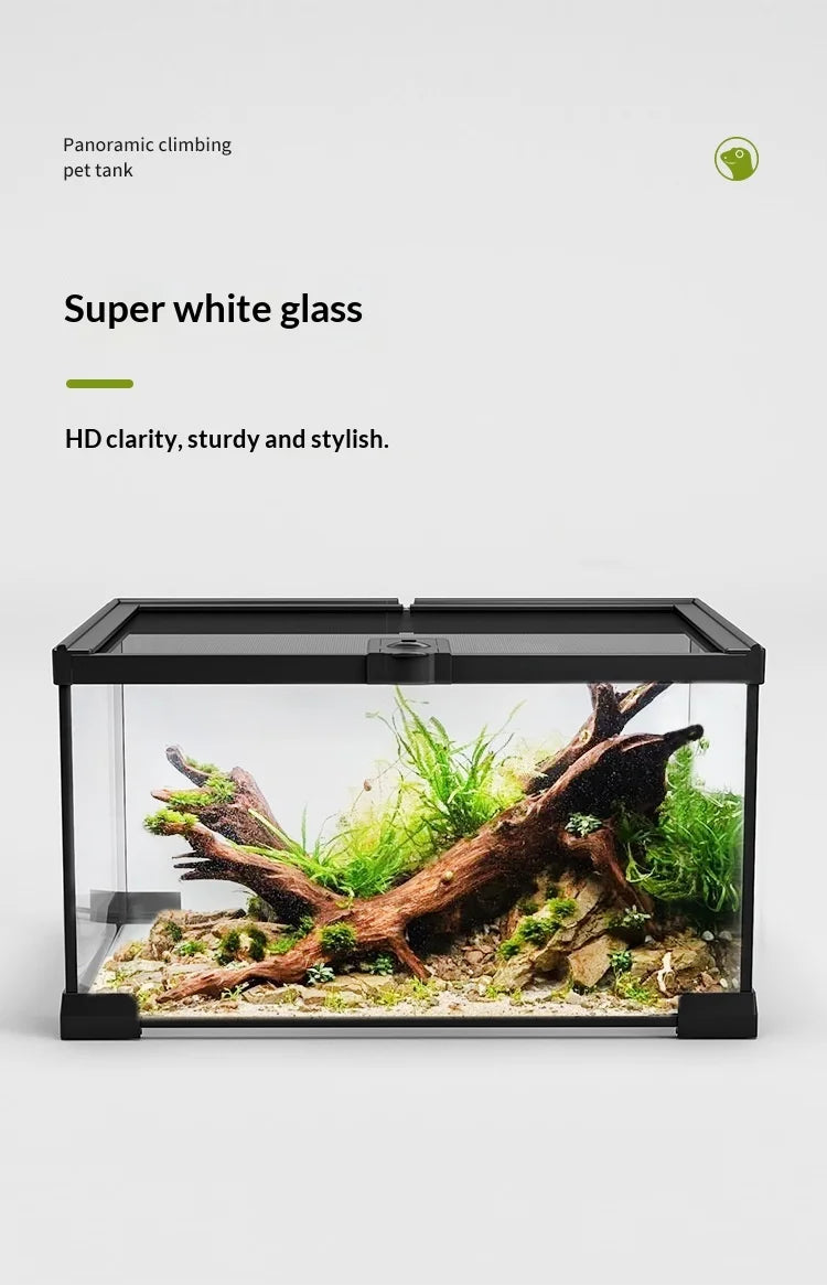 Glass Reptile Display Tank