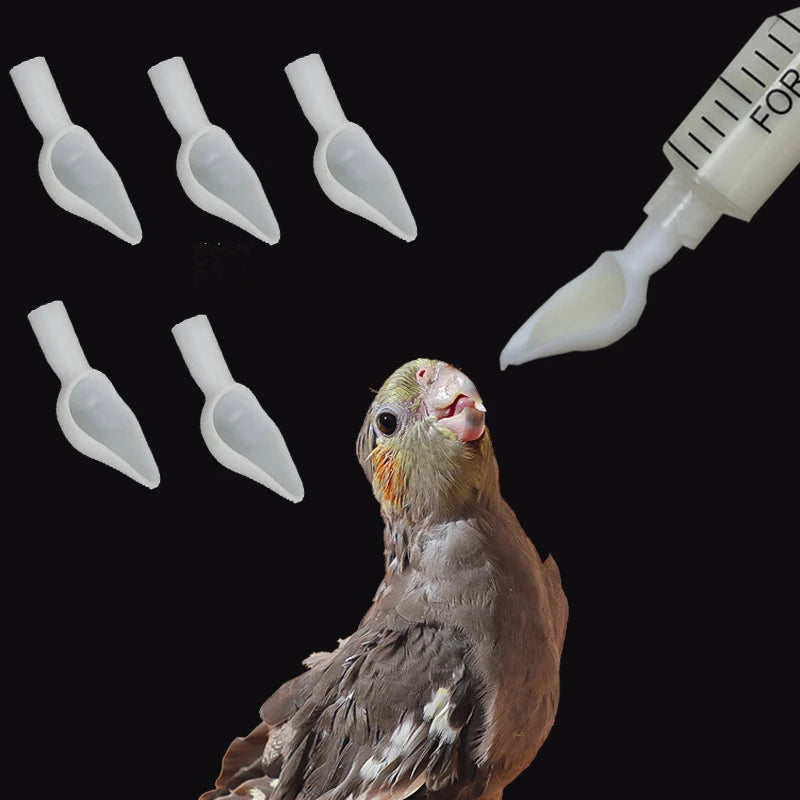 Baby Bird Milk Feeding Spoon