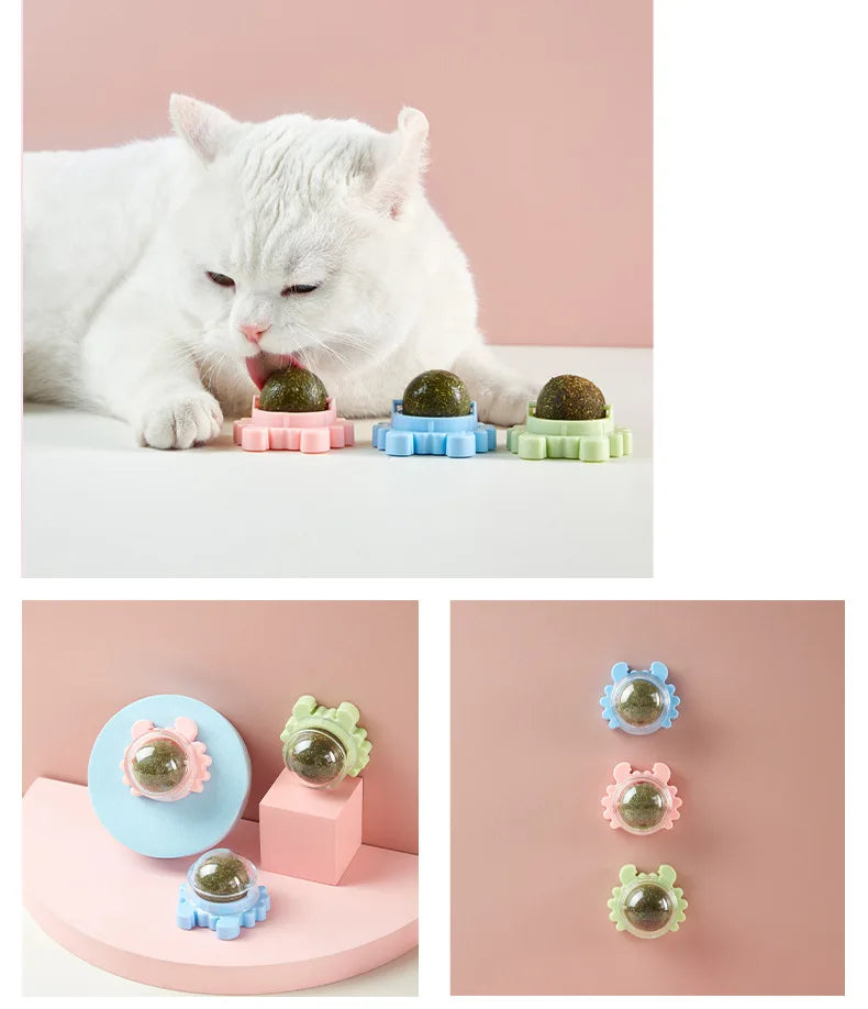 Catnip Energy Ball Toy