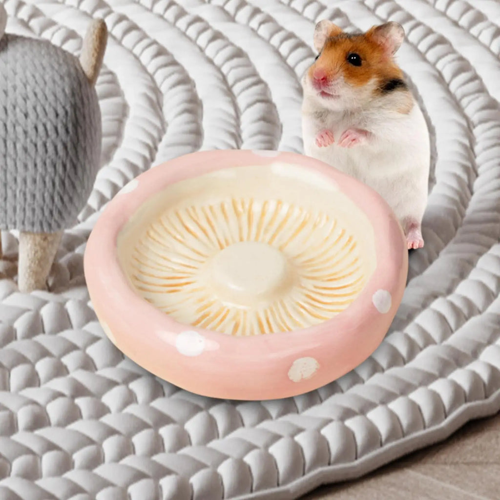 Ceramic Small Pet Food Bowl