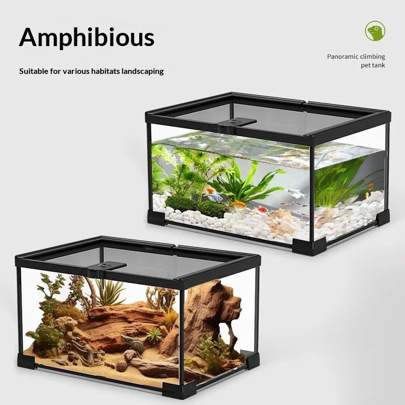 Glass Reptile Display Tank