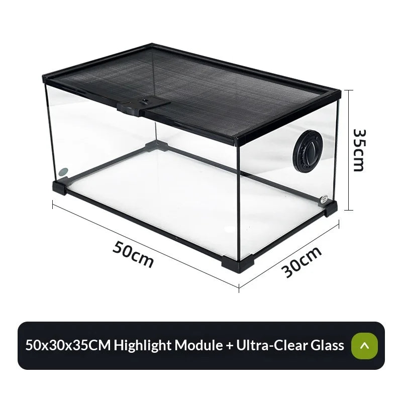Glass Reptile Display Tank