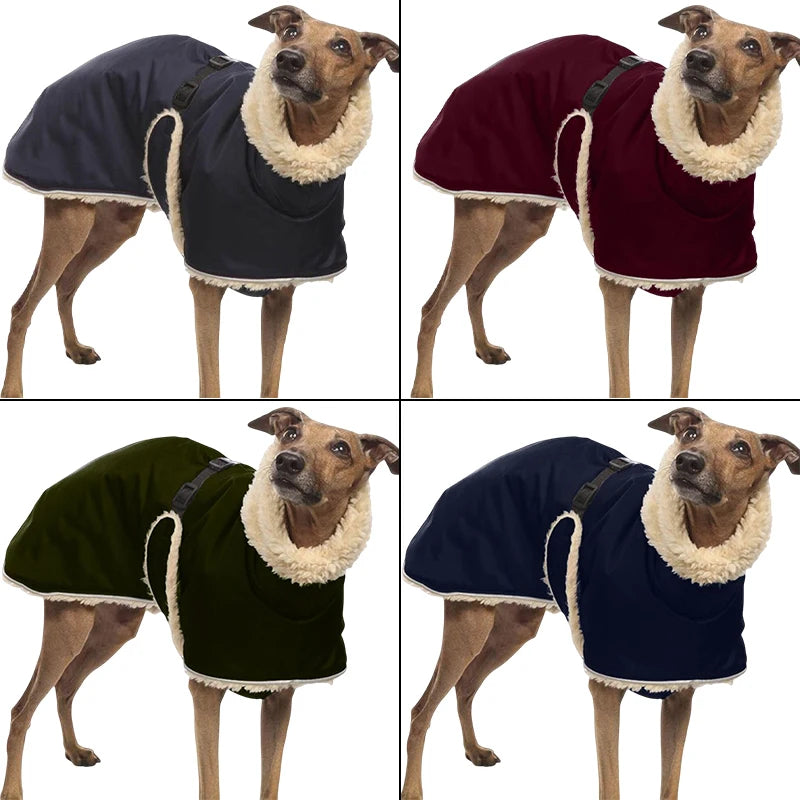 Fleece-Lined Waterproof Dog Jacket