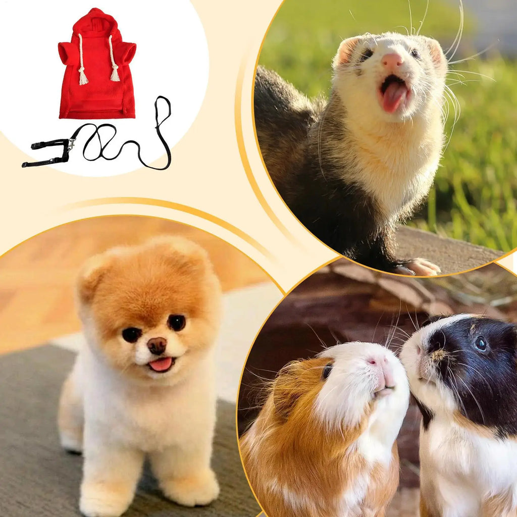 Small Animal Sweatshirt