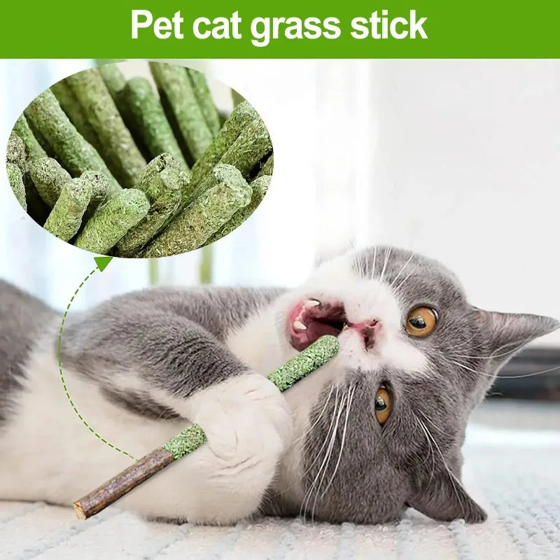 Cat Grass Teeth Cleaning Sticks