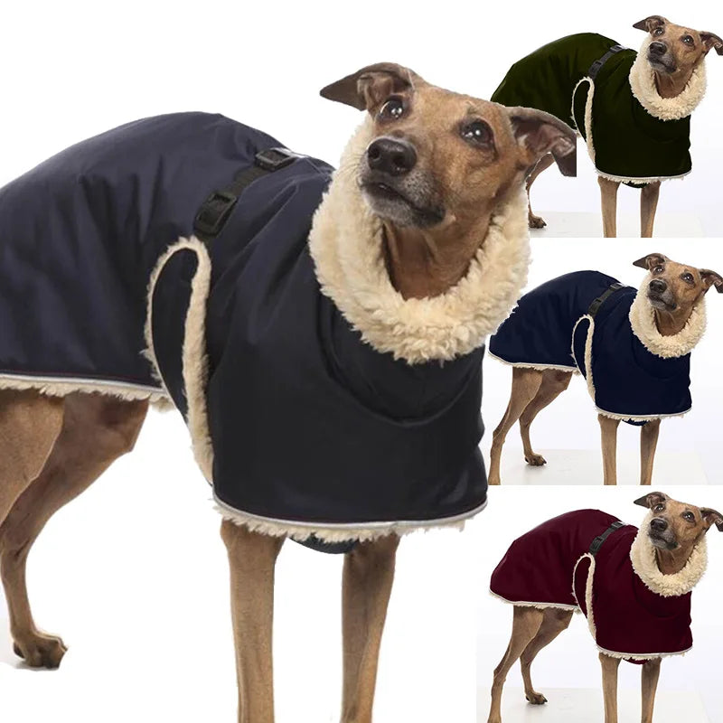 Fleece-Lined Waterproof Dog Jacket