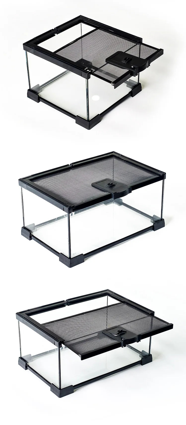 Glass Reptile Display Tank