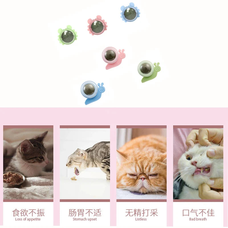 Catnip Energy Ball Toy