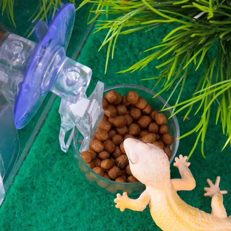 Suction Cup Reptile Food Tray