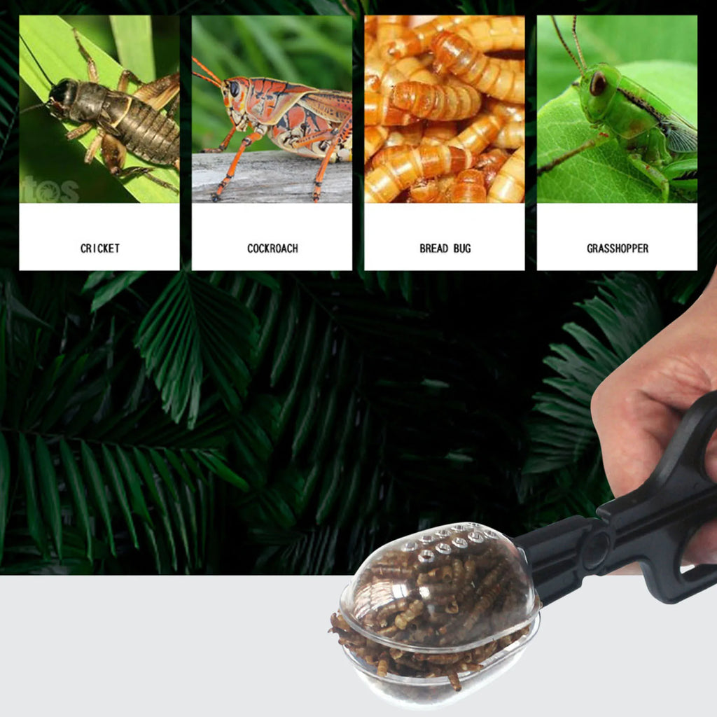 Reptile Feeding Tongs