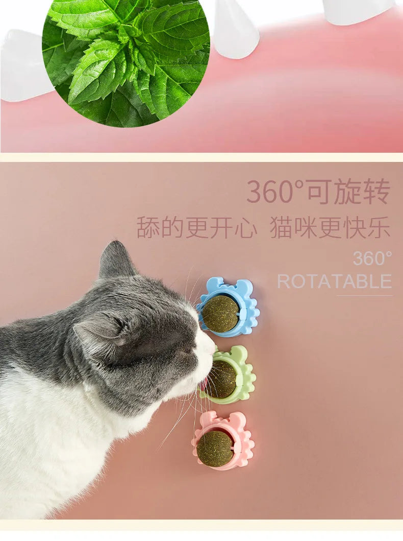 Catnip Energy Ball Toy