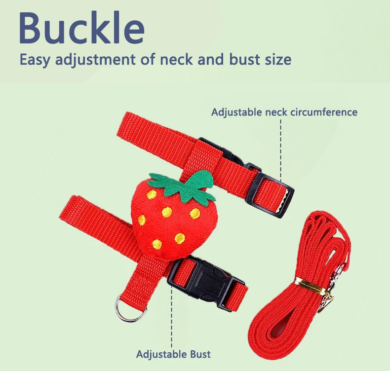 Small Animal Harness & Leash
