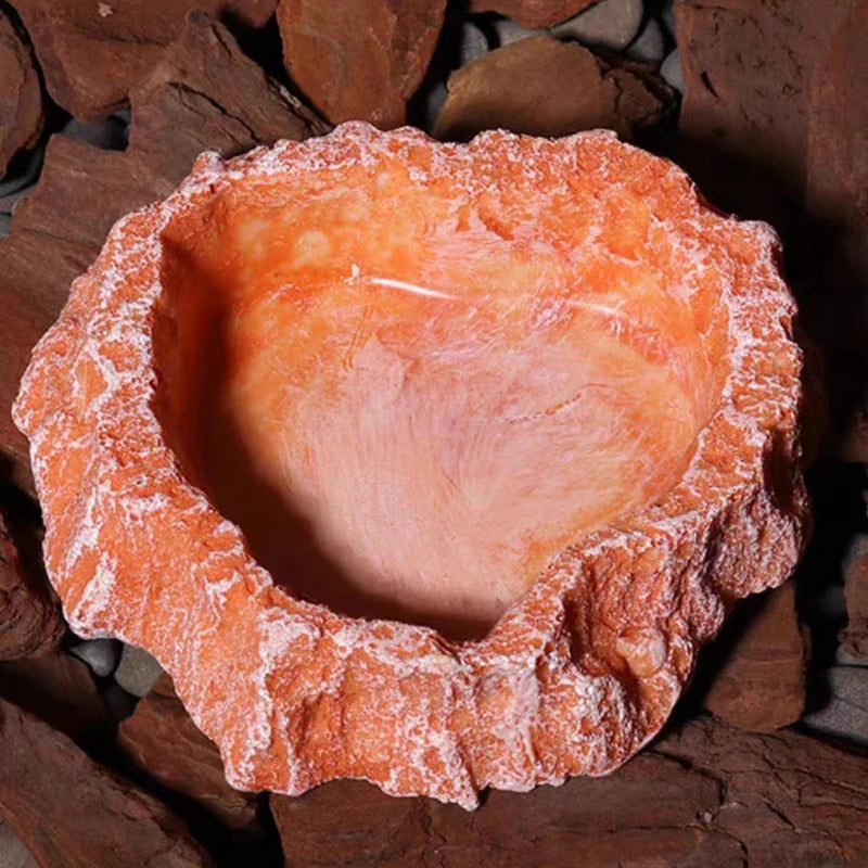 Resin Reptile Feeder Bowl