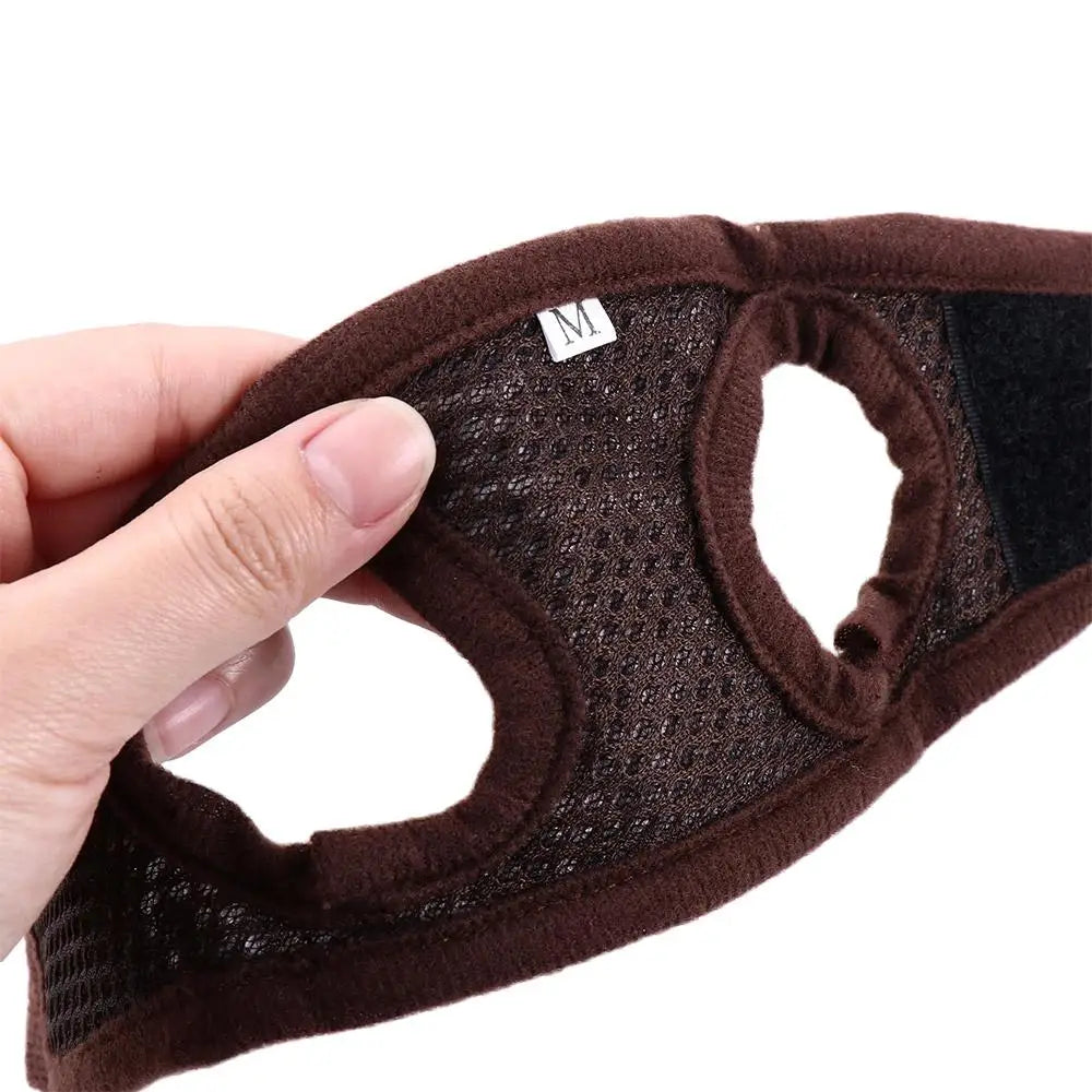 Small Pet Vest Harness & Leash