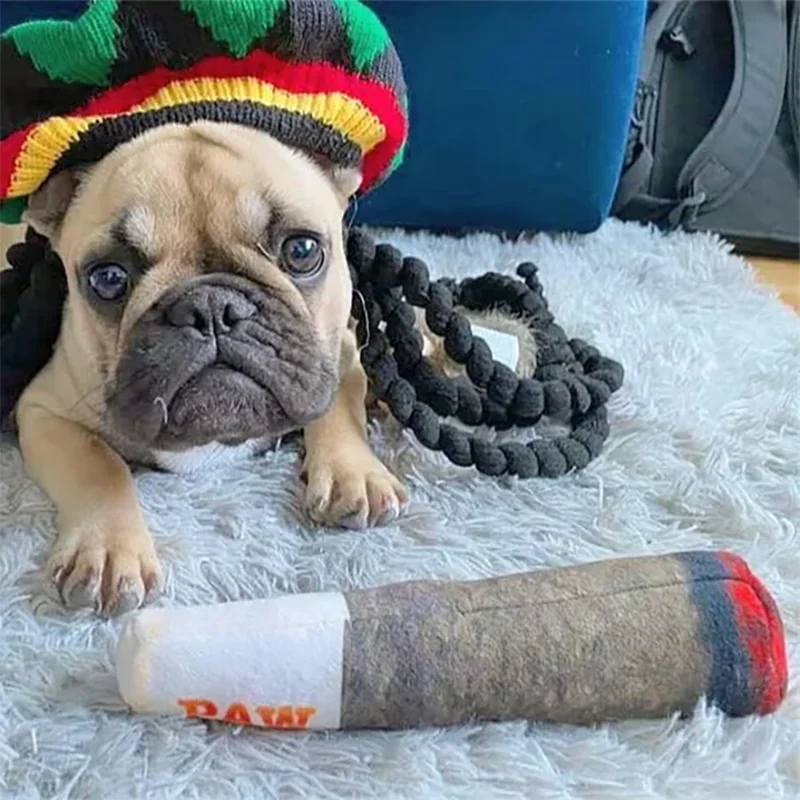 Cigar Squeaky Dog Chew Toy