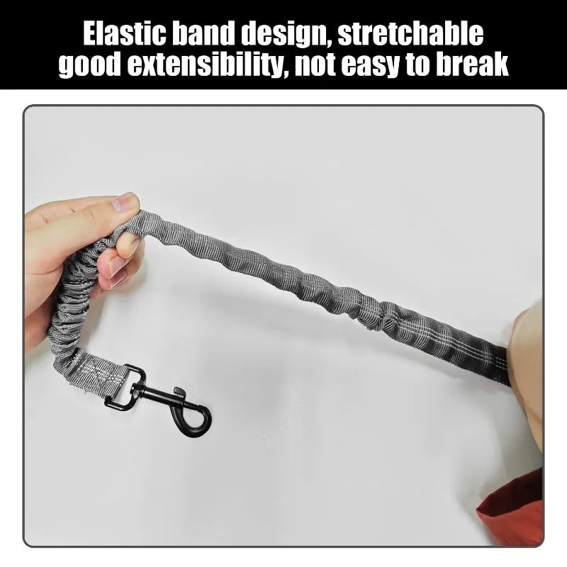 Shock-Absorbing Dog Leash