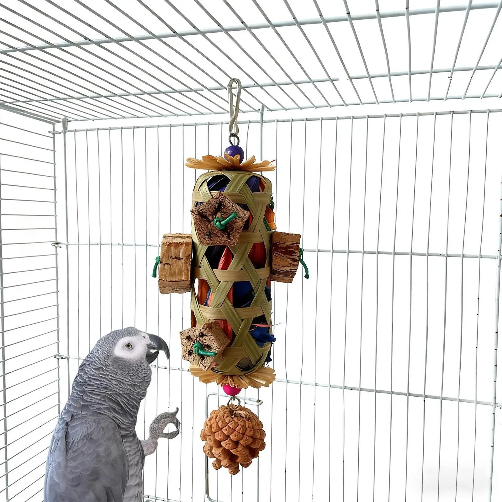Colourful Parrot Foraging Chew Toy