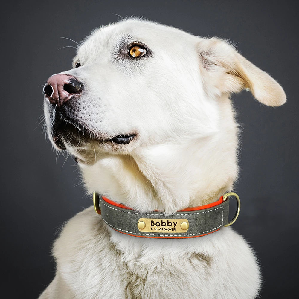 Custom Engraved PU Leather Dog Collar