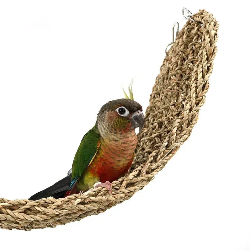 Reptile Hammock Vivarium Decor