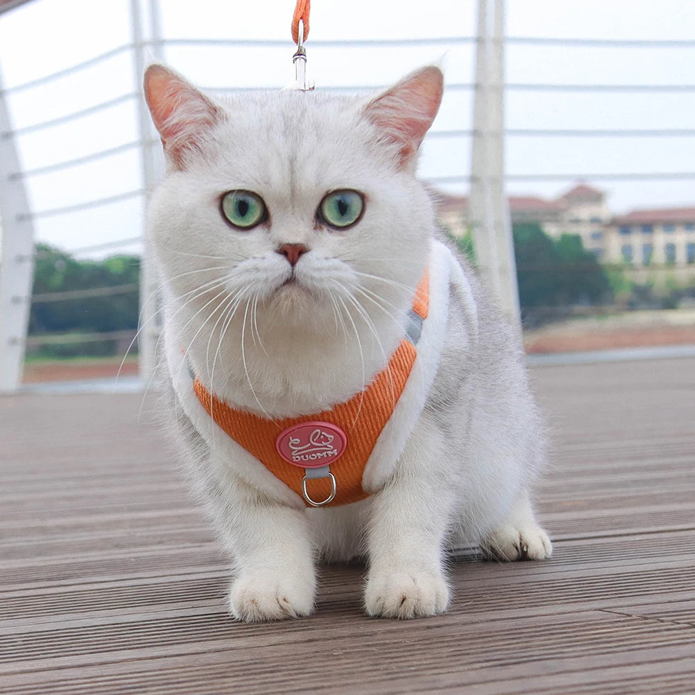 Reflective Winter Pet Harness