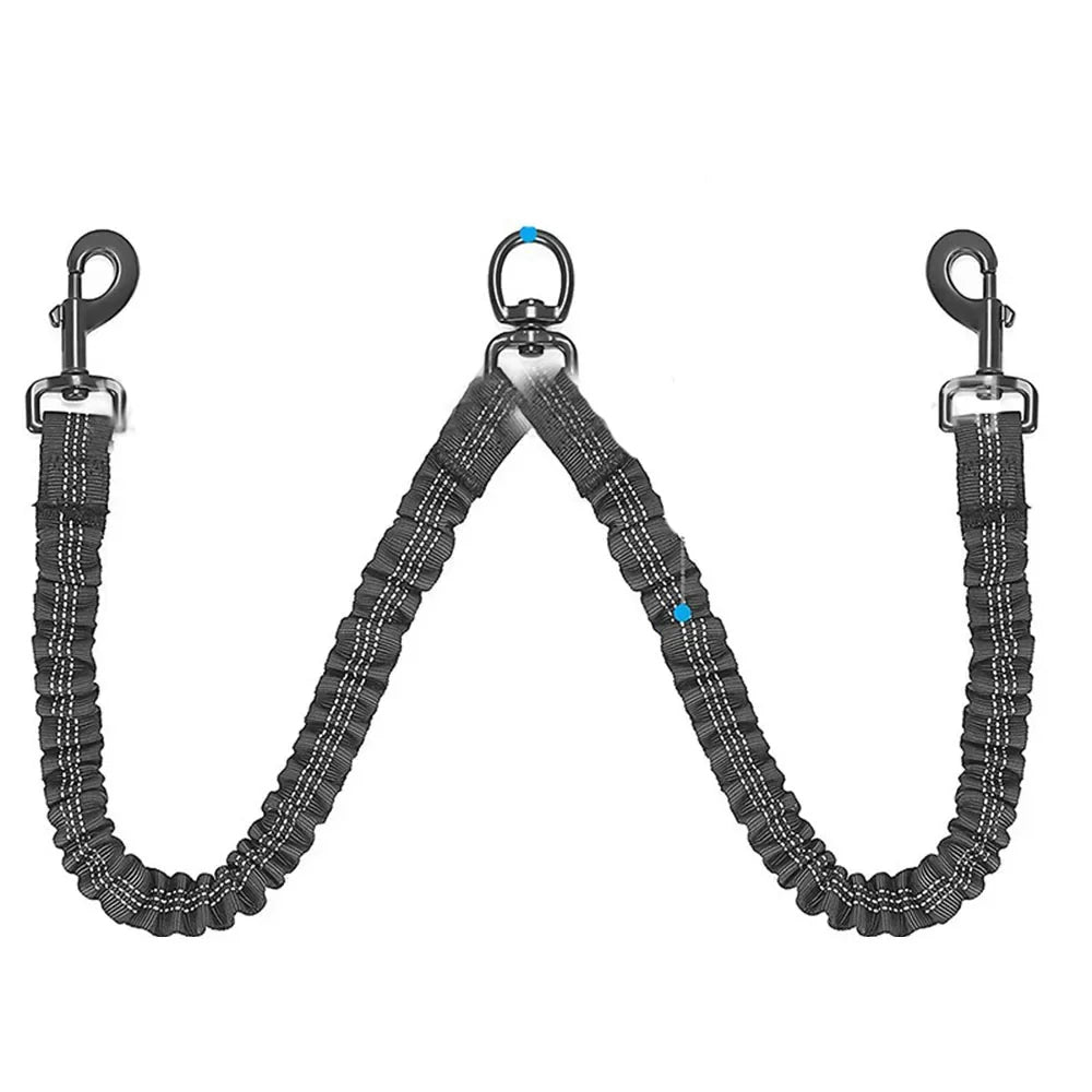 Shock-Absorbing Dog Leash