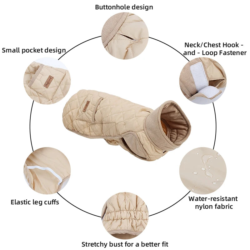 Quilted Dachshund Dog Coat