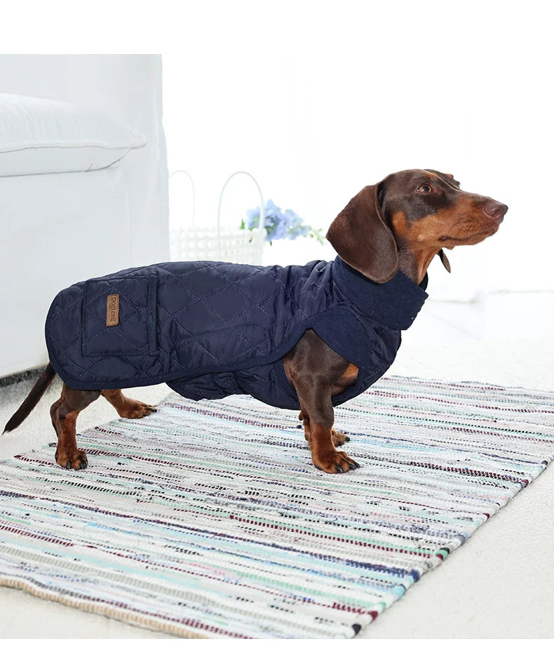 Quilted Dachshund Dog Coat