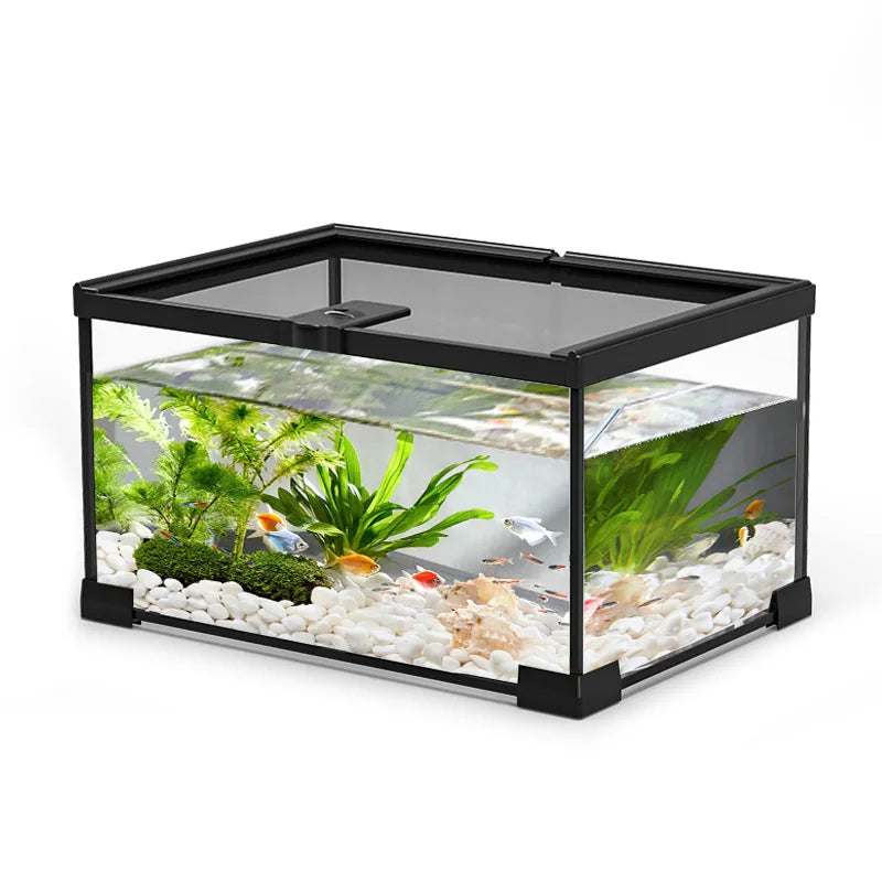 Glass Reptile Display Tank