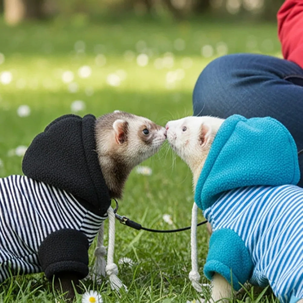 Cosy Fleece Pet Hoodie