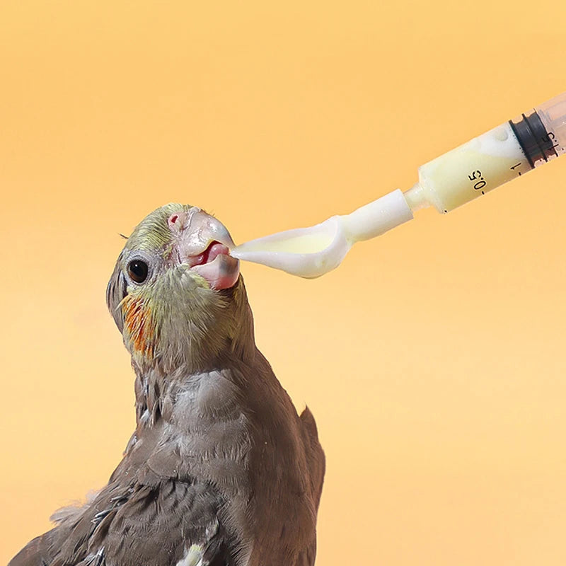 Baby Bird Milk Feeding Spoon