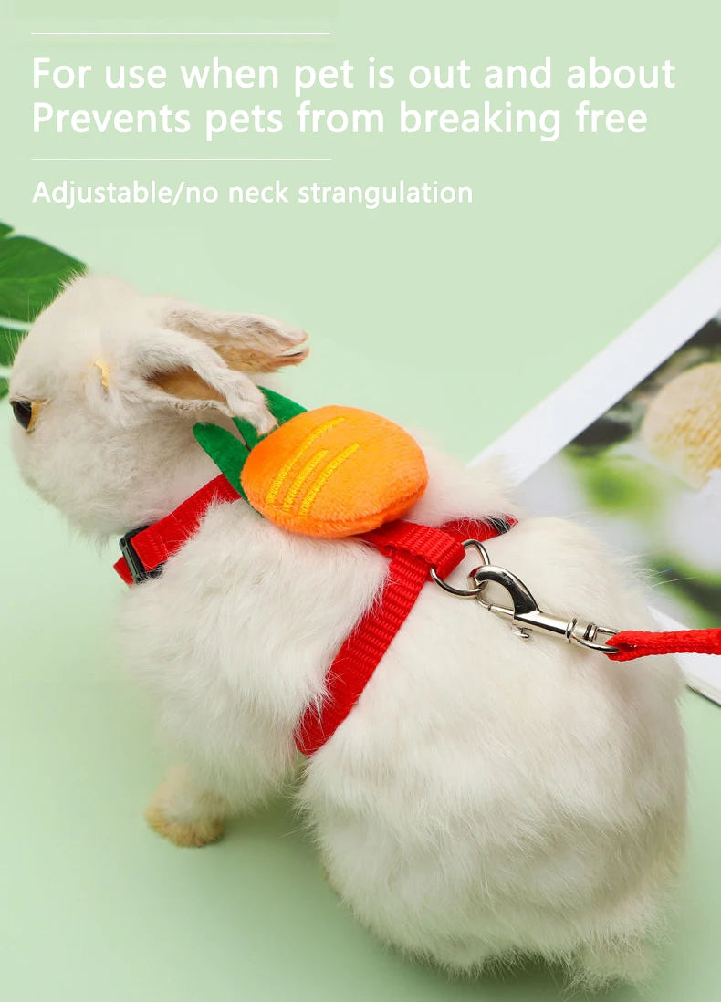 Small Animal Harness & Leash