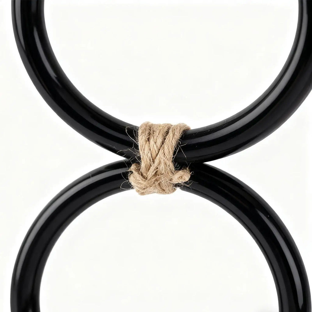 Snake Climbing Toy & Rings