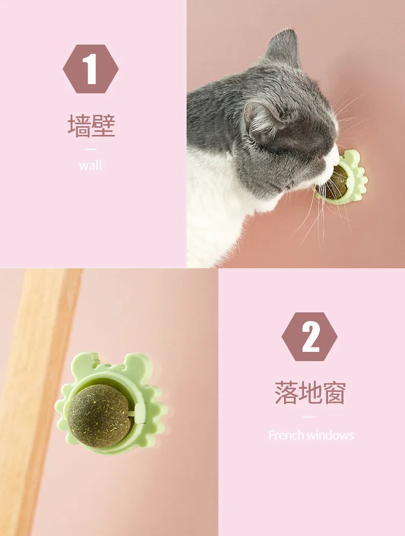 Catnip Energy Ball Toy