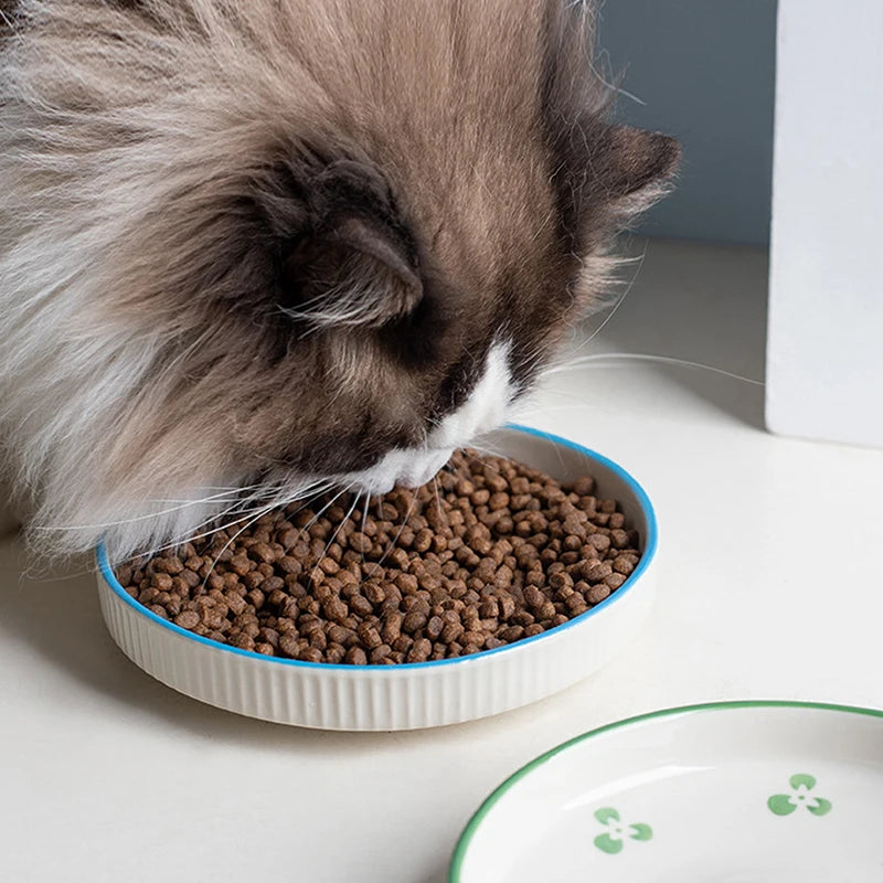 Ceramic Pet Food & Water Bowl