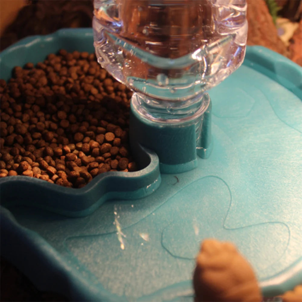 Easy-Clean Reptile Food Dish